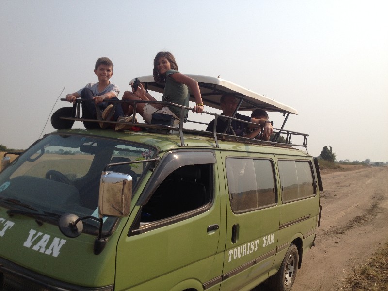 family safari van