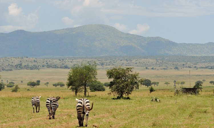 Kidepo Valley National Park