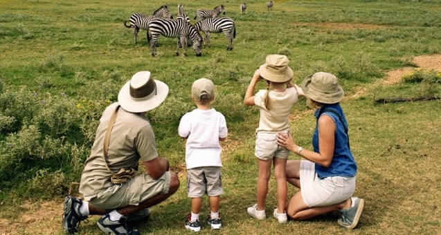 Family safari