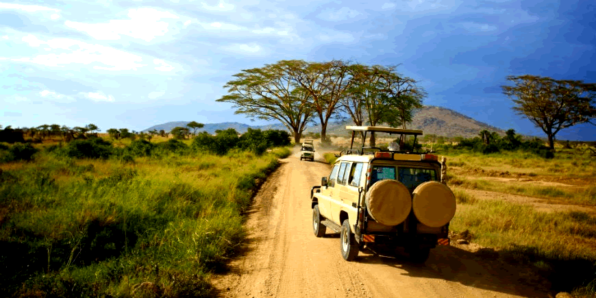 Gam drive in Uganda