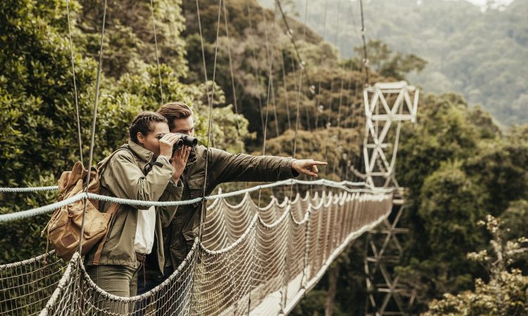 Nyungwe forest Rwandav