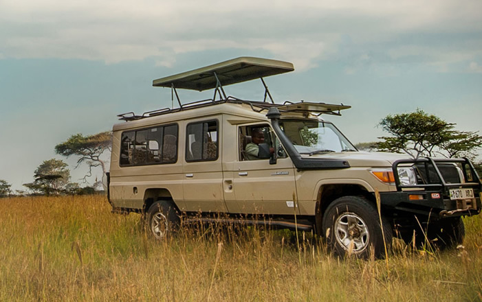Safari Land cruiser