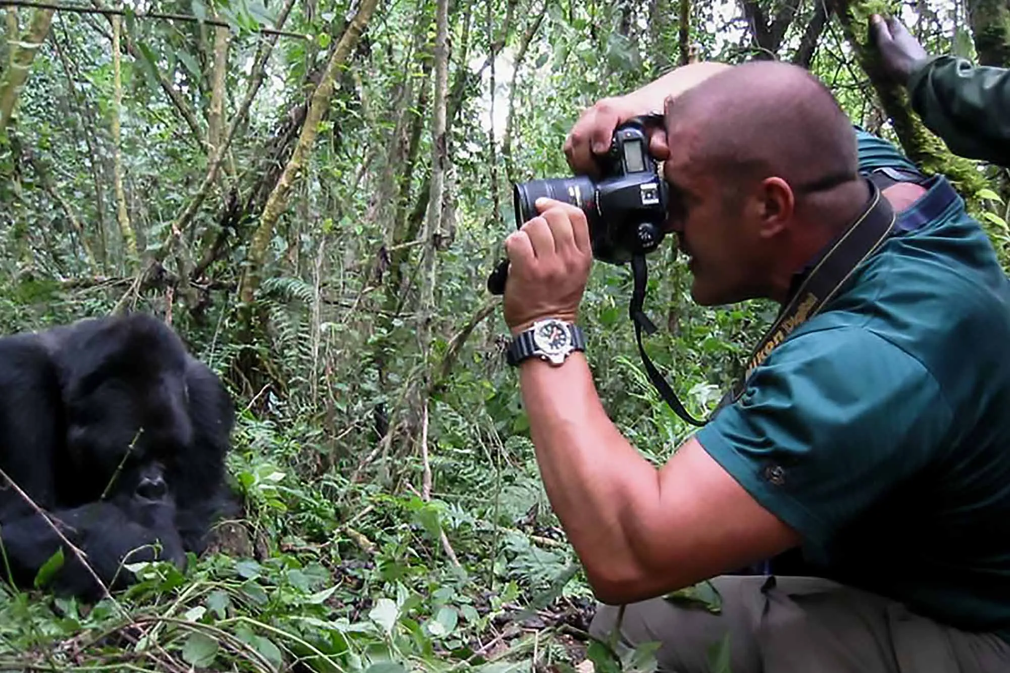 Gorilla trekking in Uganda