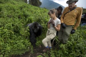 Gorilla trekking in Bwindi Vs Mgahinga