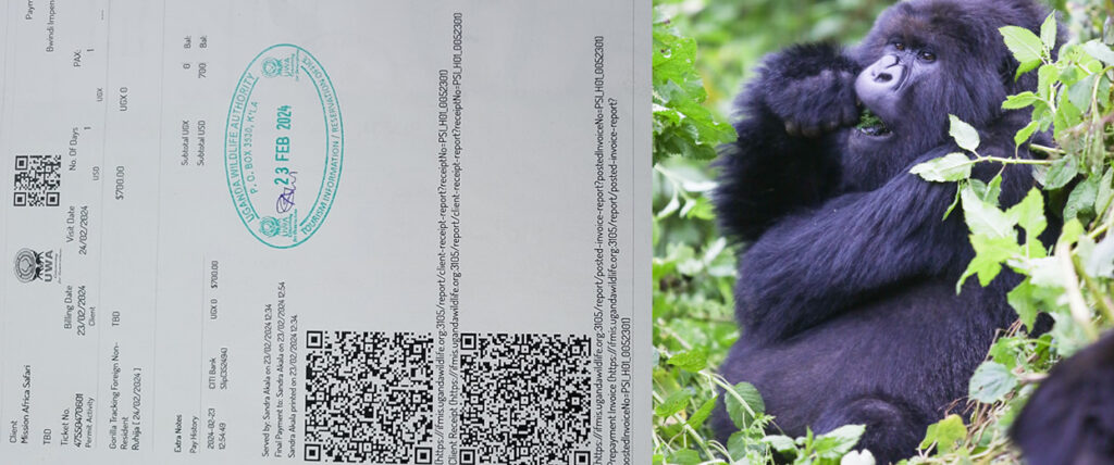 Gorilla permit booking