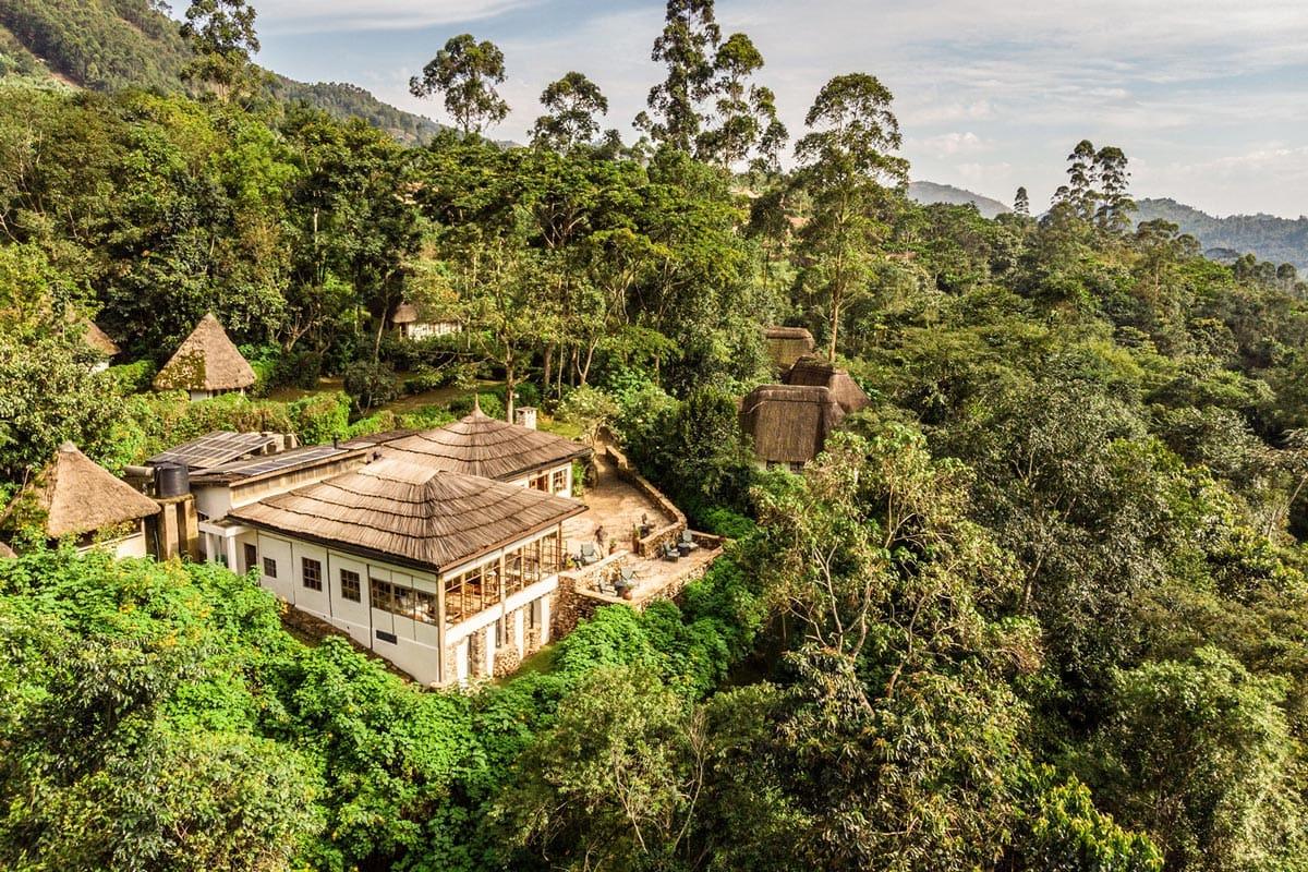 Volcano bwindi lodge