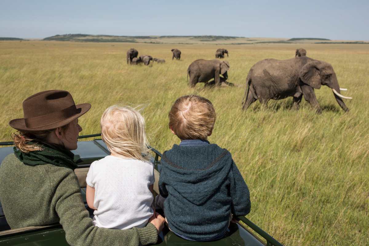 Family safari
