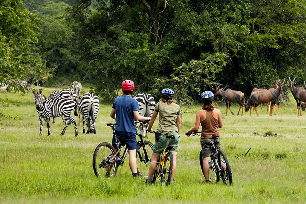 lake-mburo - Uganda Safari Bookings Discounted Uganda safari - Lake Mburo cycling safaro