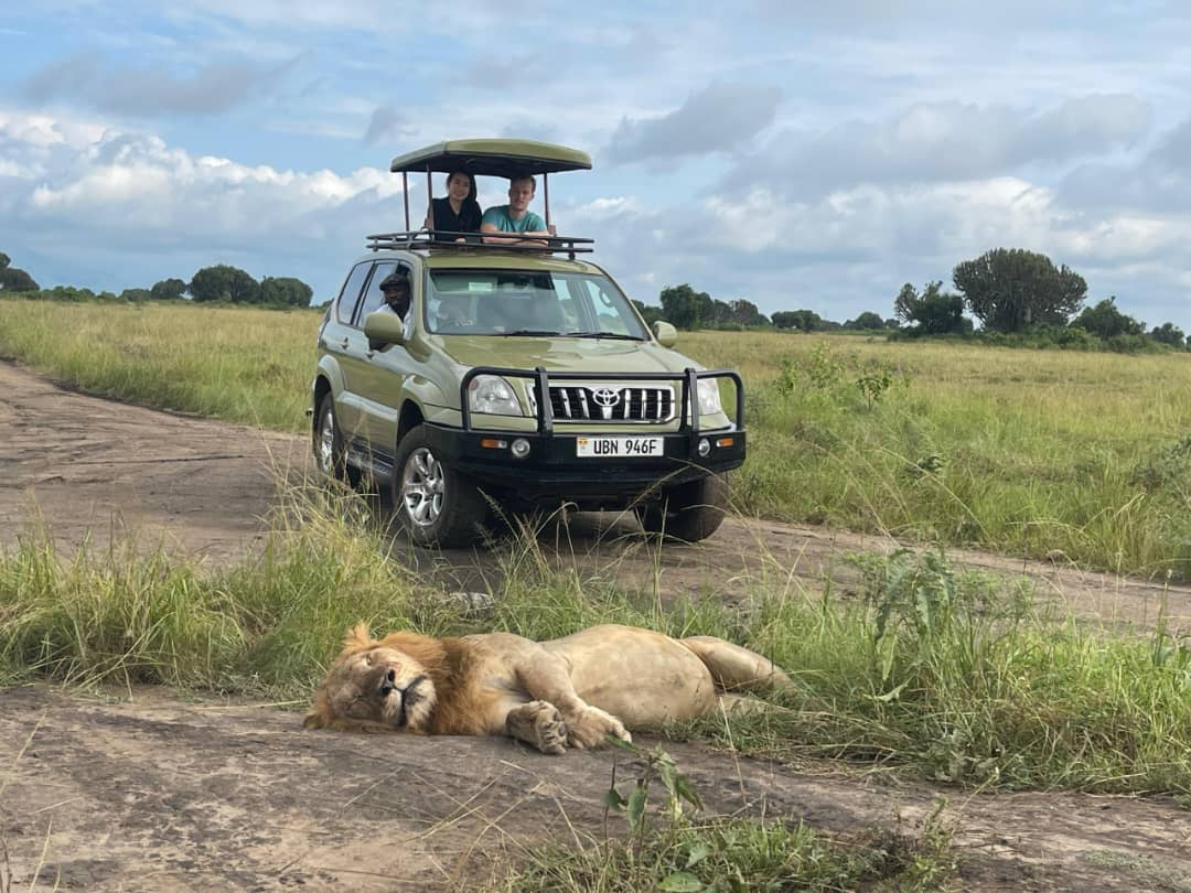 Land cruiser with pop-up roof for safaris