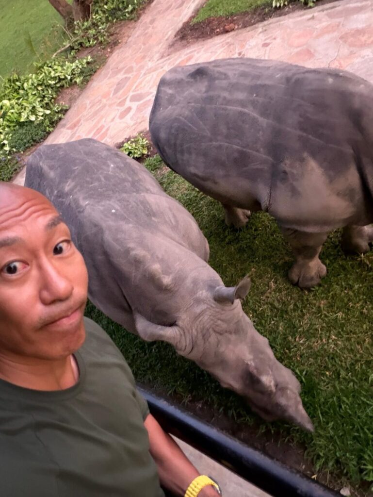 walking with rhinos at Ziwa