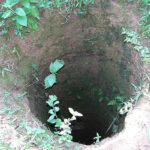 Open vertical hole in bare earth surrounded by green plants and grass. Thinks like a deep shaft or well edge.