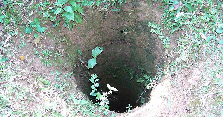 Open vertical hole in bare earth surrounded by green plants and grass. Thinks like a deep shaft or well edge.
