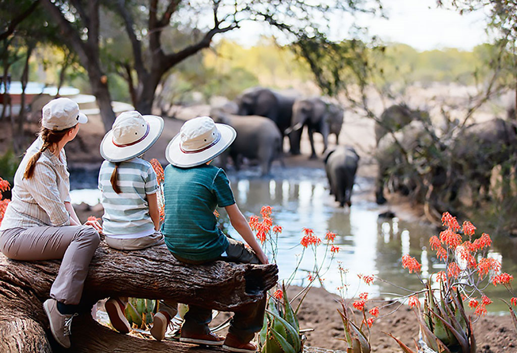 family-safari-queen-elizabeth - Uganda Safari Bookings Three children wearing hats sit on a fallen log and watch elephants at a waterhole in a savanna setting.