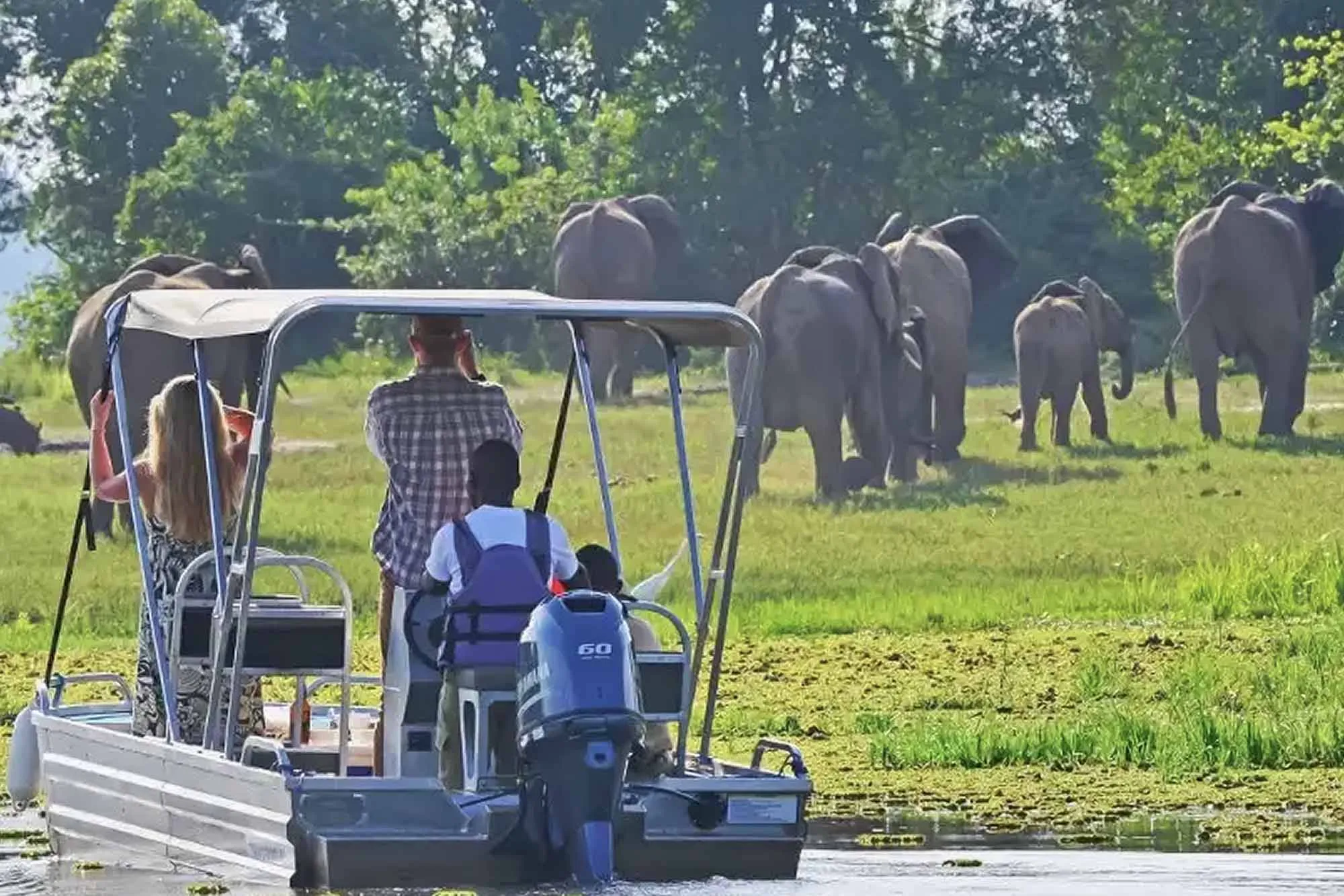 People ride in a covered boat as a herd of elephants graze in a grassy wetlands area nearby.
