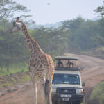 Lake Mburo tour game drive