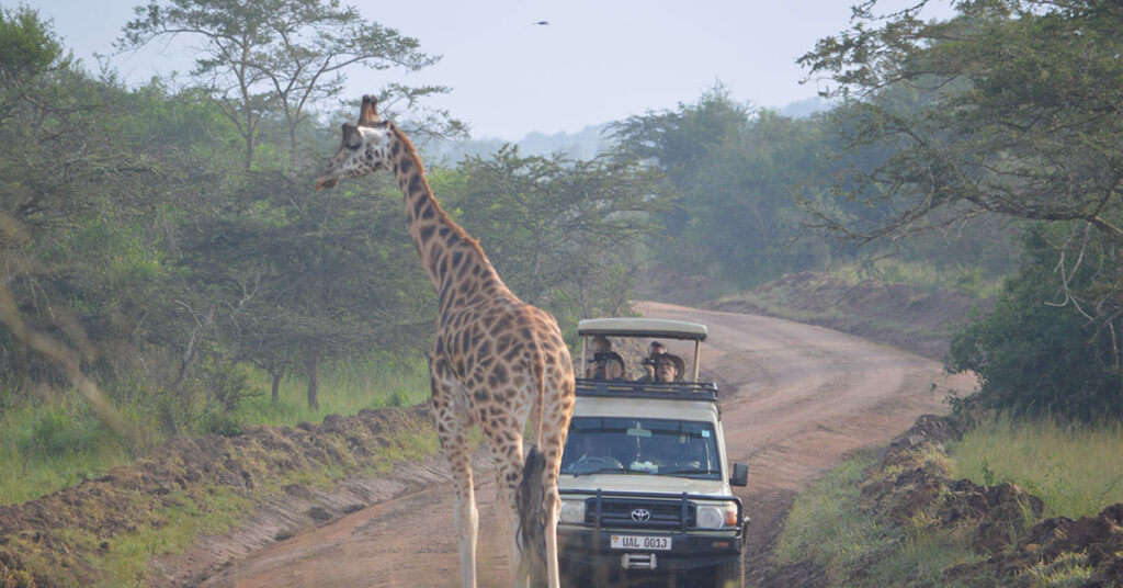 Lake Mburo tour game drive