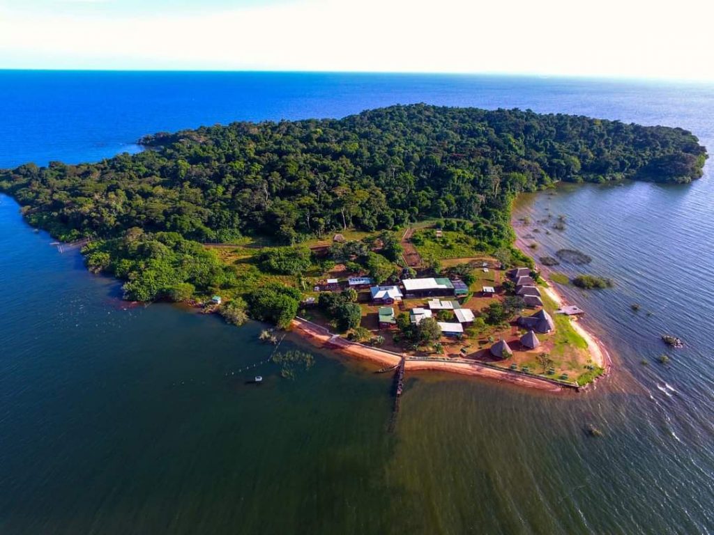 Ngamba island tour