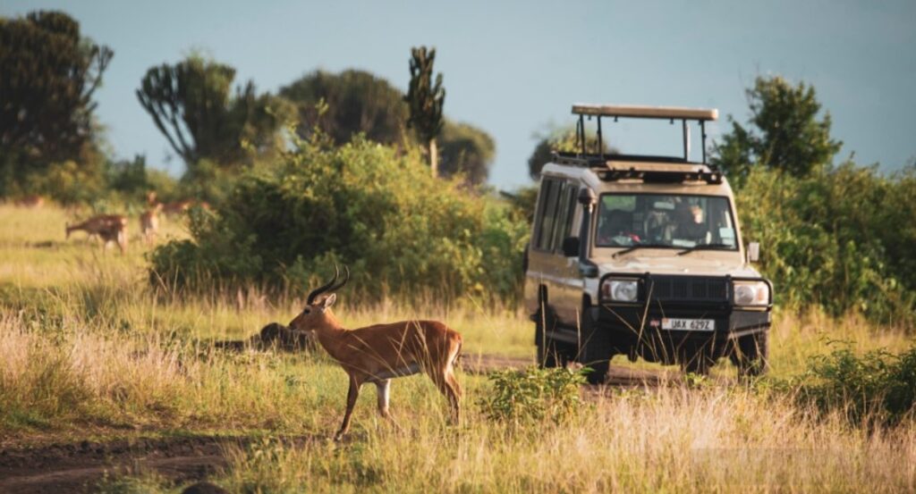 how many days do i need for queen elizabeth national park