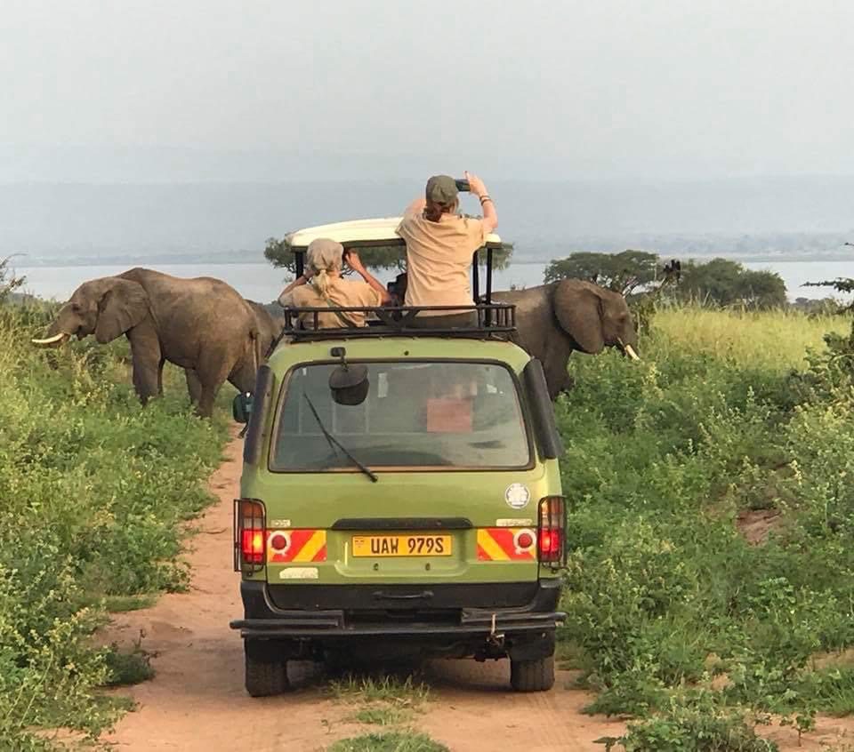 uganda national parks free entry