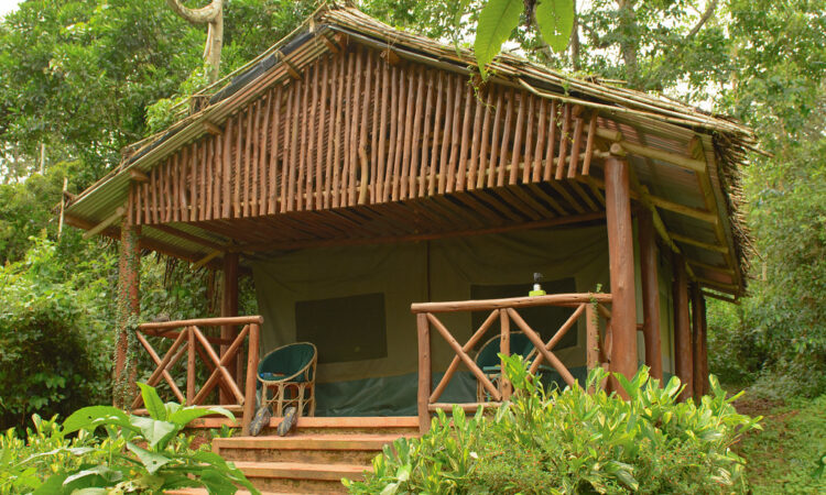 budget accomodation kibale