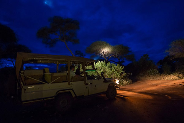 Uganda night safaris