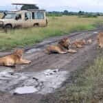 kasenyi plains game drive