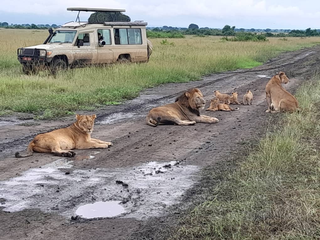 kasenyi plains game drive