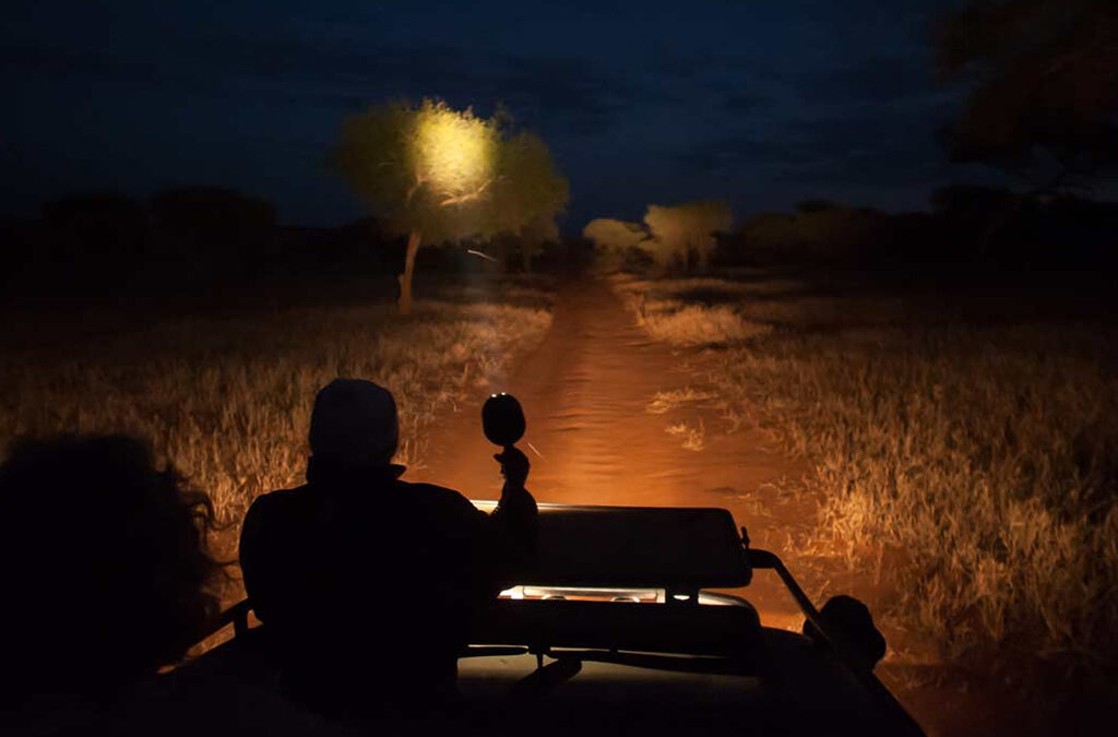 uganda night safaris